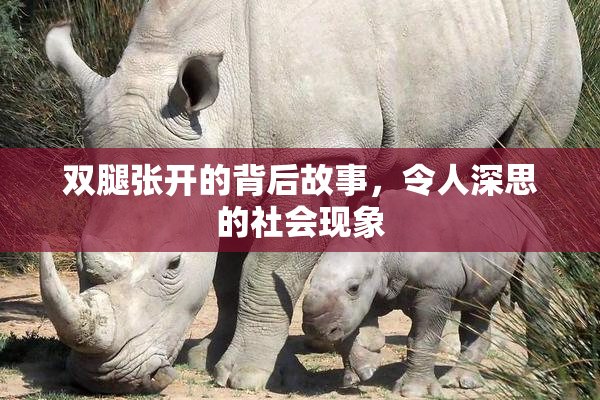 双腿张开的背后故事，令人深思的社会现象