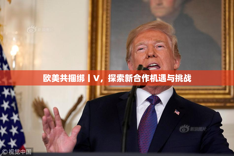 欧美共捆绑丨V，探索新合作机遇与挑战