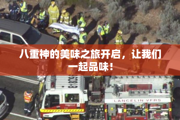 八重神的美味之旅开启，让我们一起品味！