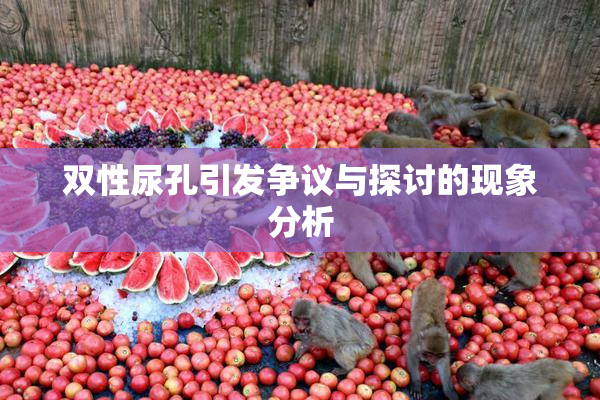 双性尿孔引发争议与探讨的现象分析