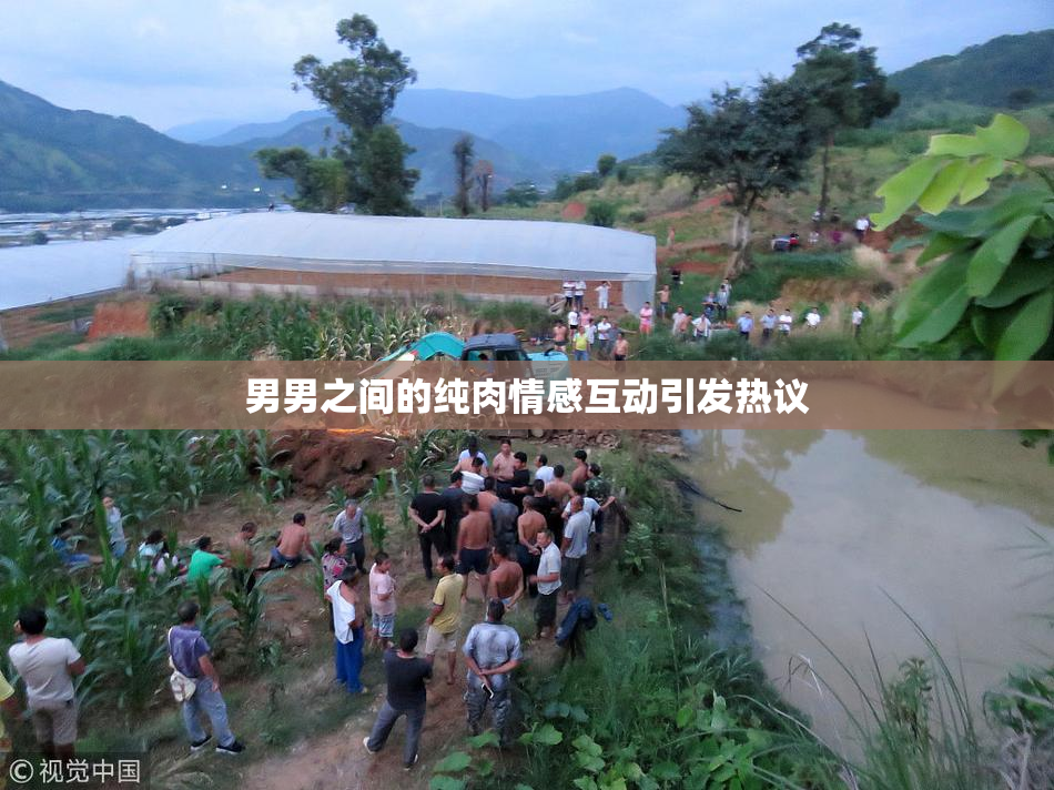 男男之间的纯肉情感互动引发热议