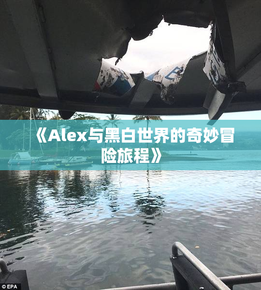 《Alex与黑白世界的奇妙冒险旅程》
