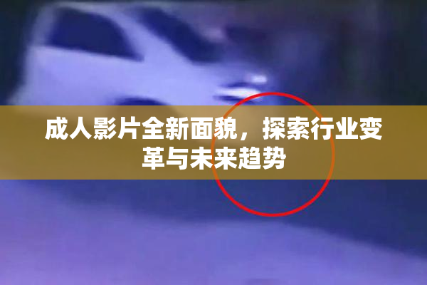 成人影片全新面貌，探索行业变革与未来趋势