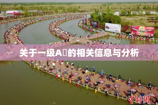 关于一级A婬的相关信息与分析