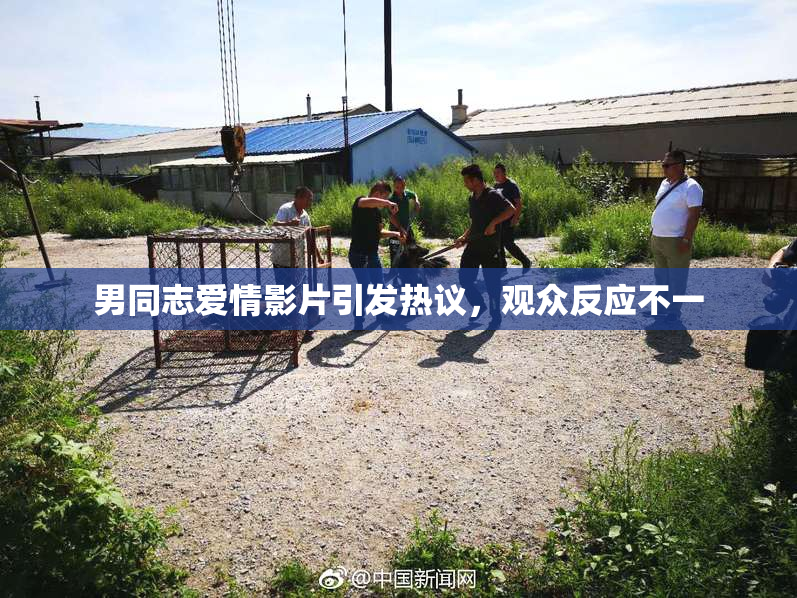 男同志爱情影片引发热议，观众反应不一