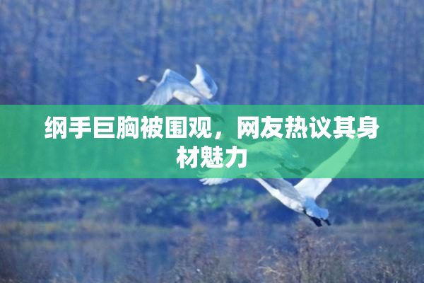 纲手巨胸被围观，网友热议其身材魅力