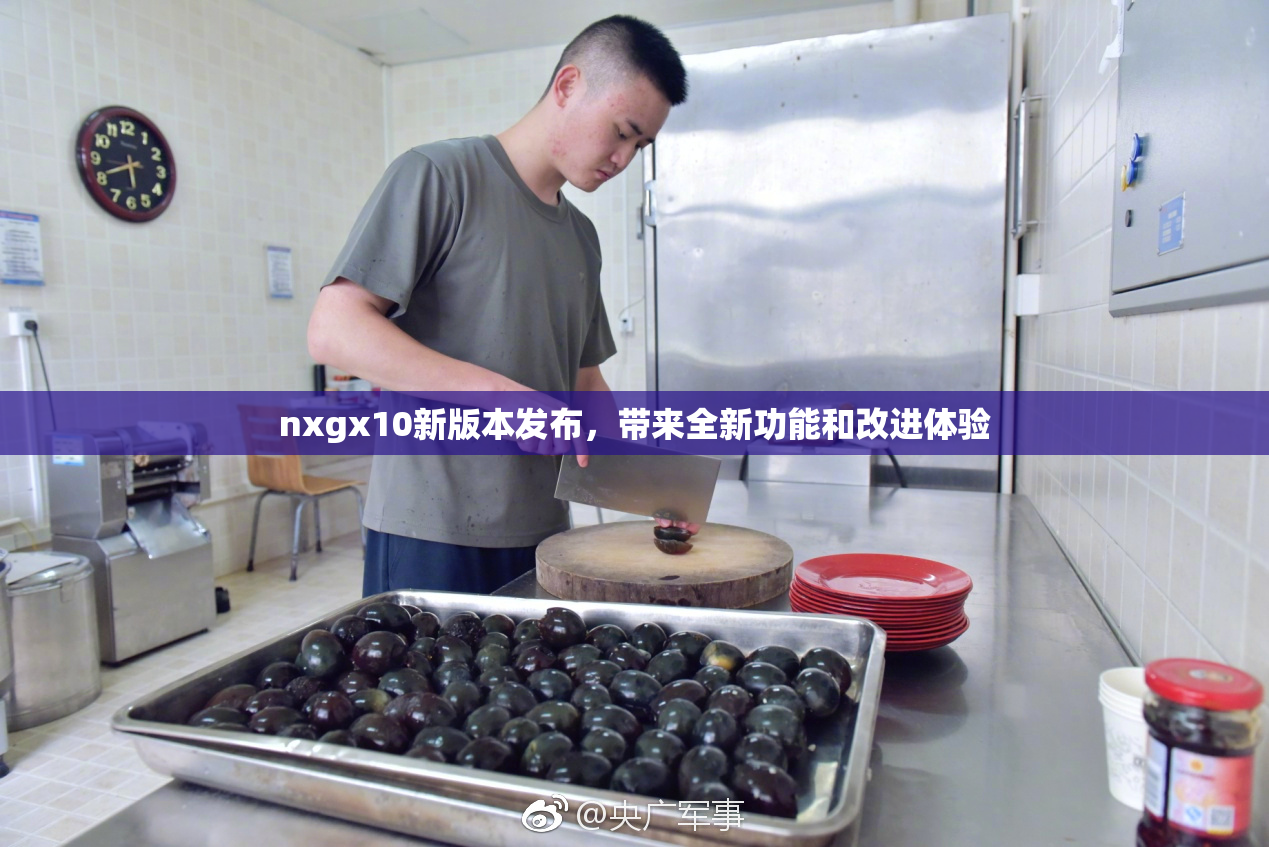 nxgx10新版本发布，带来全新功能和改进体验