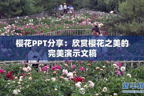 樱花PPT分享：欣赏樱花之美的完美演示文稿