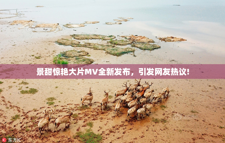 景甜惊艳大片MV全新发布，引发网友热议!