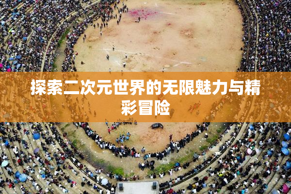 探索二次元世界的无限魅力与精彩冒险