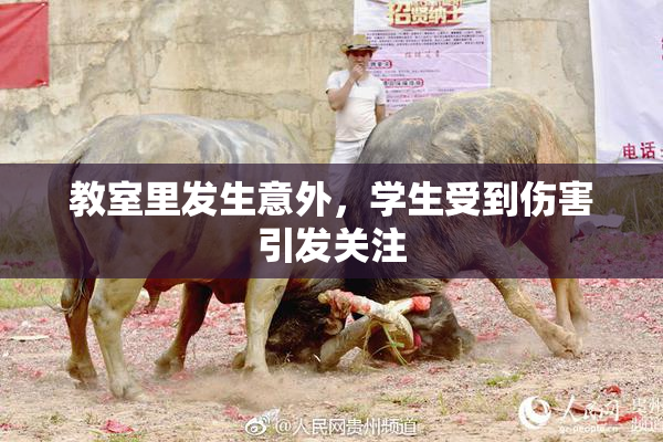 教室里发生意外，学生受到伤害引发关注