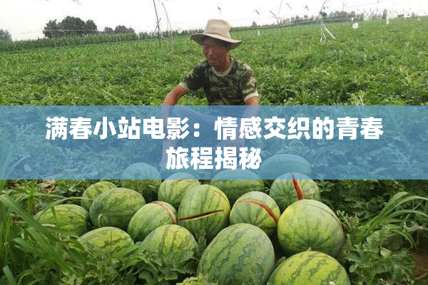 满春小站电影：情感交织的青春旅程揭秘