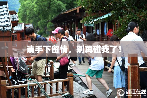 请手下留情，别再碰我了！