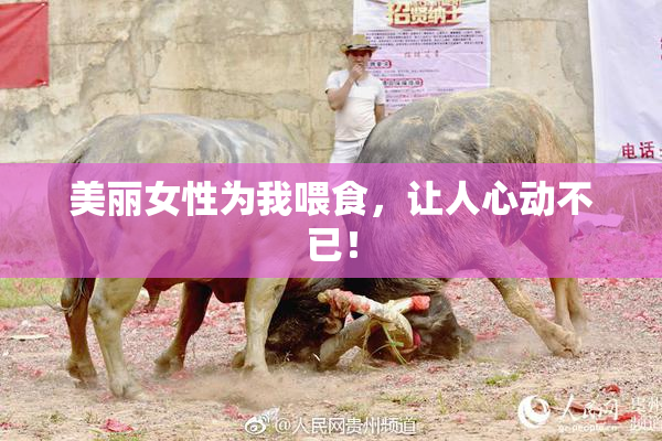 美丽女性为我喂食，让人心动不已！