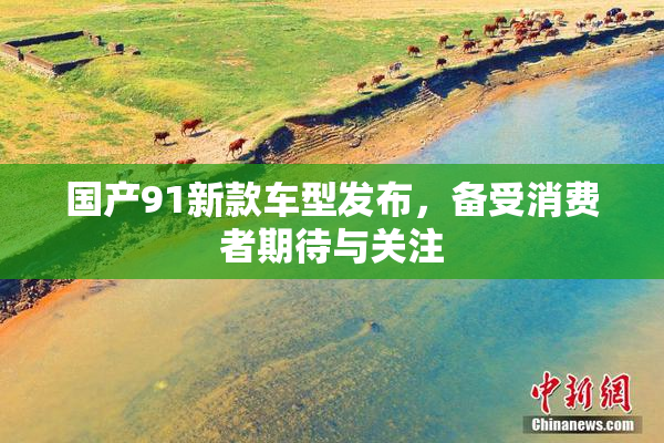 国产91新款车型发布，备受消费者期待与关注