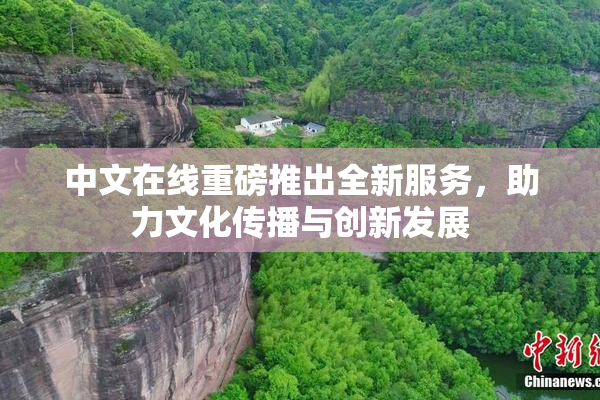 中文在线重磅推出全新服务，助力文化传播与创新发展
