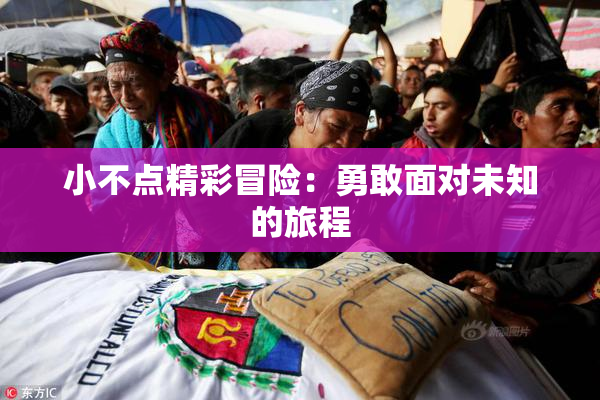 小不点精彩冒险：勇敢面对未知的旅程