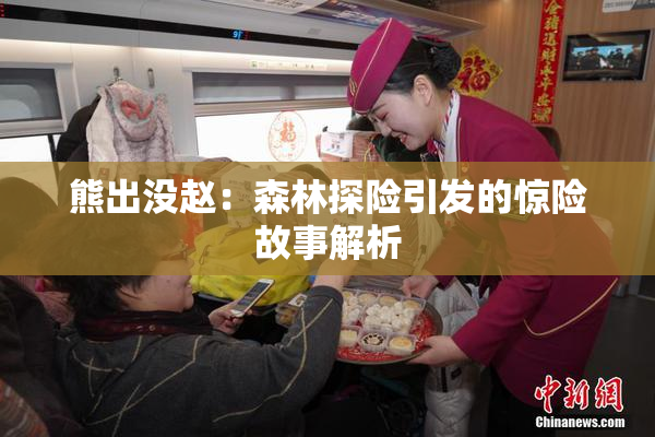 熊出没赵：森林探险引发的惊险故事解析