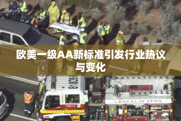 欧美一级AA新标准引发行业热议与变化