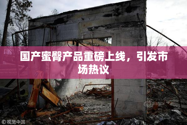 国产蜜臀产品重磅上线，引发市场热议