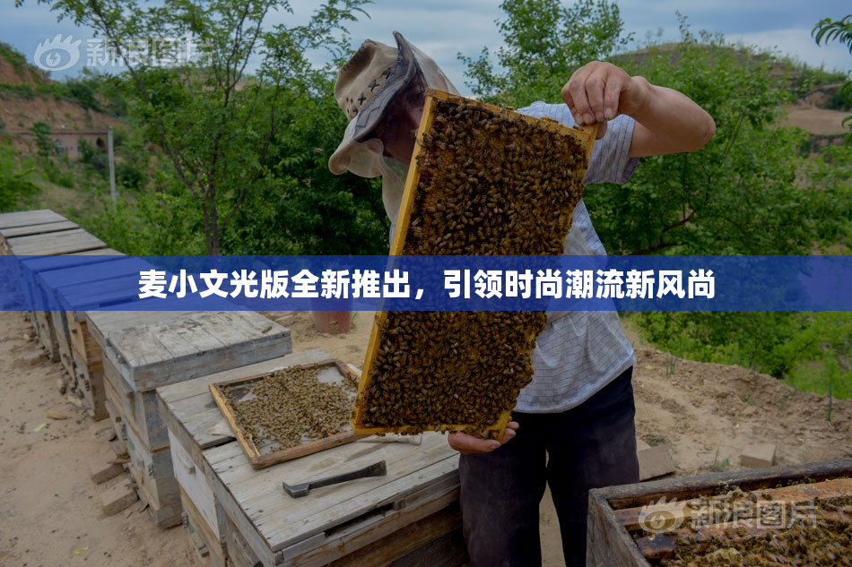 麦小文光版全新推出，引领时尚潮流新风尚
