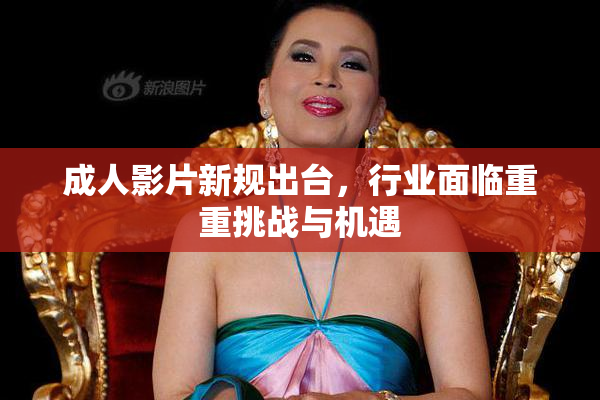 成人影片新规出台，行业面临重重挑战与机遇