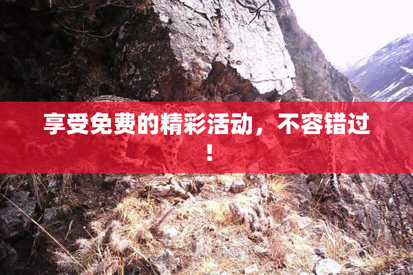 享受免费的精彩活动，不容错过！