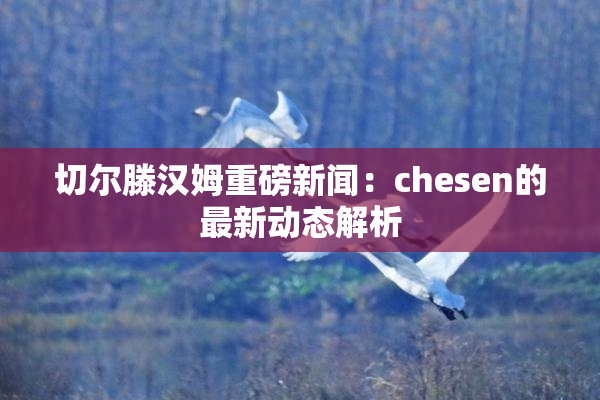 切尔滕汉姆重磅新闻：chesen的最新动态解析