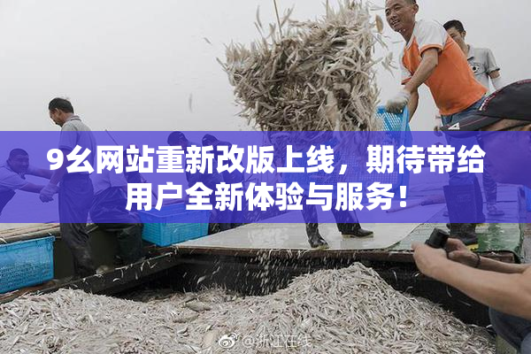 9幺网站重新改版上线，期待带给用户全新体验与服务！