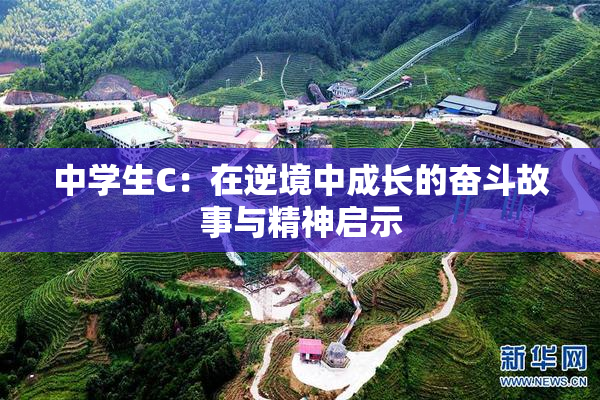 中学生C：在逆境中成长的奋斗故事与精神启示