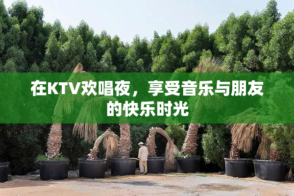 在KTV欢唱夜，享受音乐与朋友的快乐时光