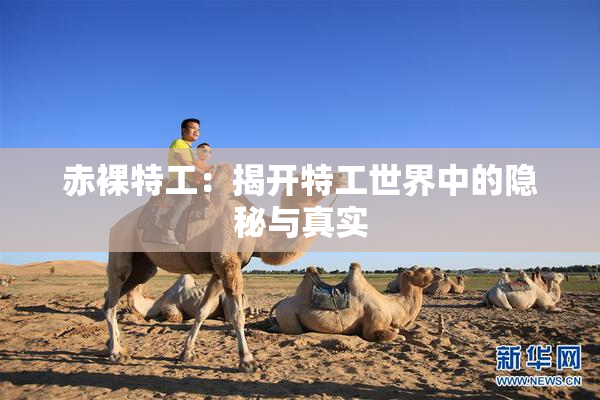 赤裸特工：揭开特工世界中的隐秘与真实