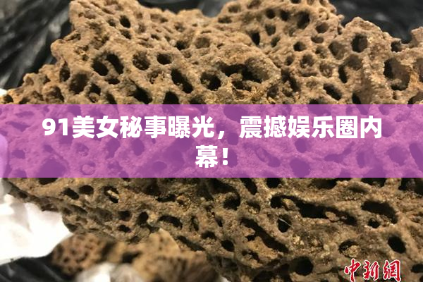 91美女秘事曝光，震撼娱乐圈内幕！