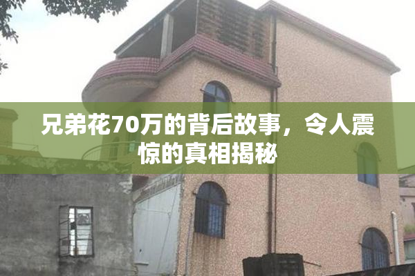 兄弟花70万的背后故事，令人震惊的真相揭秘