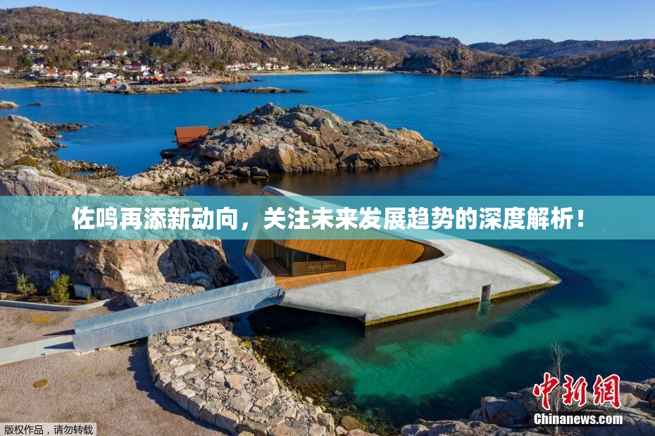 佐鸣再添新动向，关注未来发展趋势的深度解析！