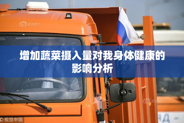 增加蔬菜摄入量对我身体健康的影响分析