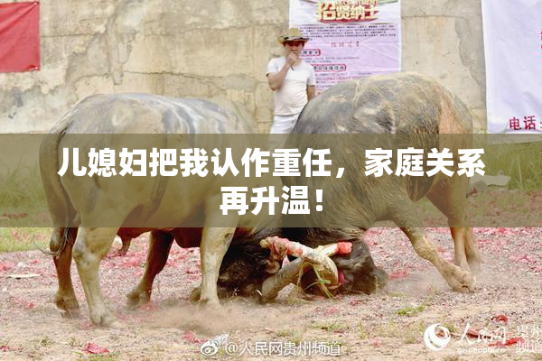 儿媳妇把我认作重任，家庭关系再升温！