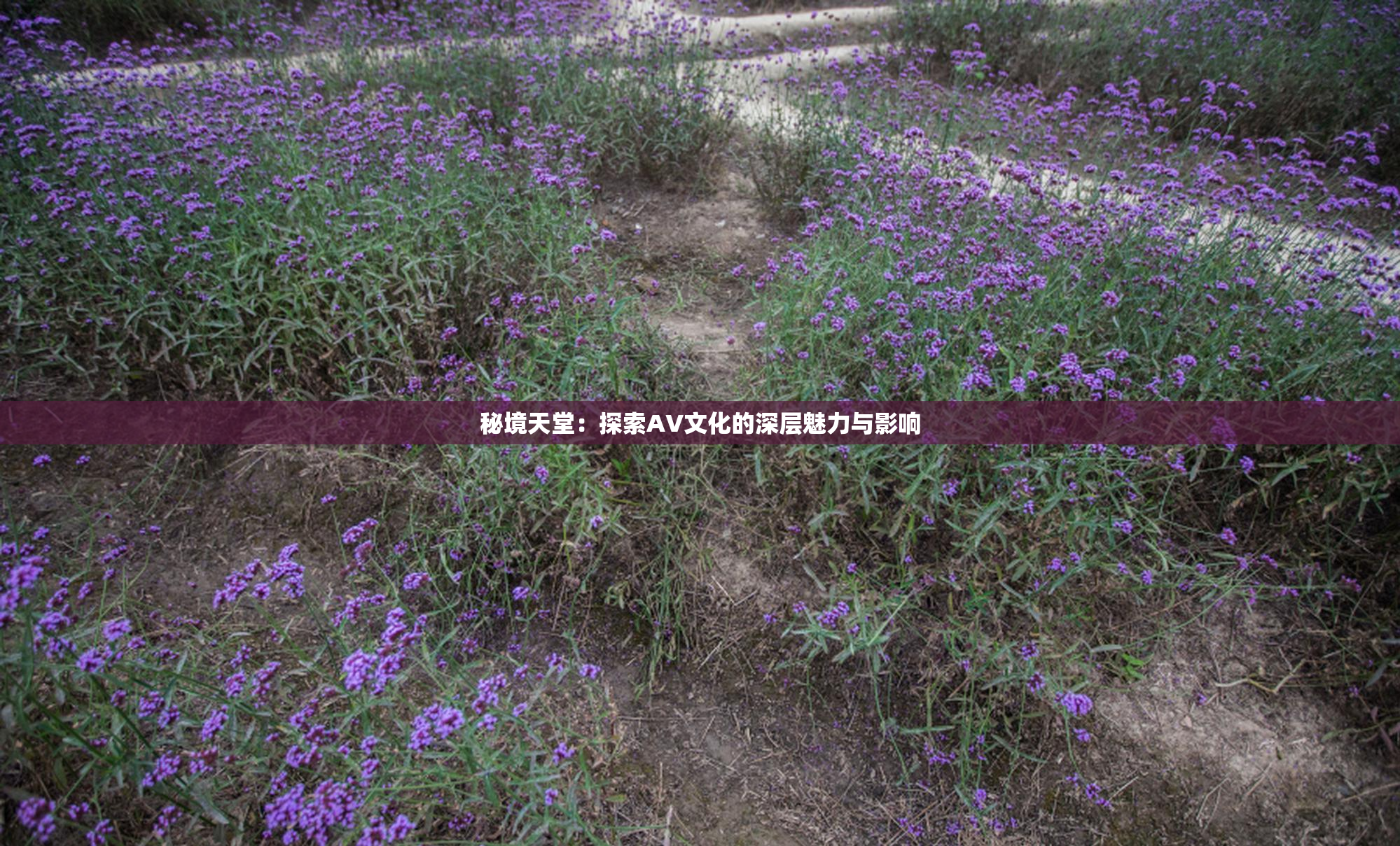 秘境天堂：探索AV文化的深层魅力与影响