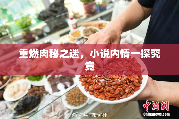 重燃肉秘之迷，小说内情一探究竟
