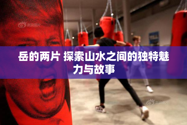 岳的两片 探索山水之间的独特魅力与故事