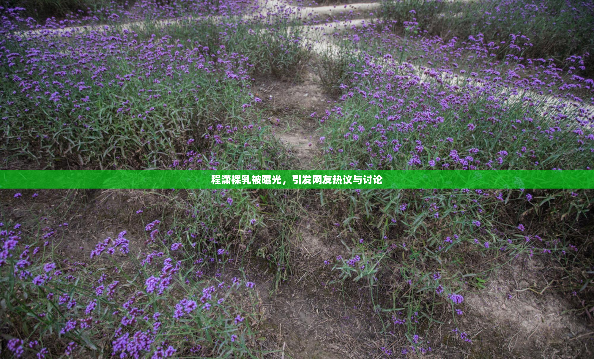 程潇裸乳被曝光，引发网友热议与讨论