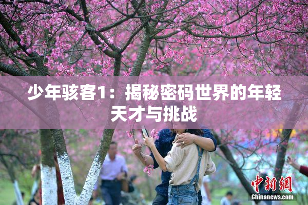 少年骇客1：揭秘密码世界的年轻天才与挑战