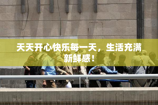 天天开心快乐每一天，生活充满新鲜感！