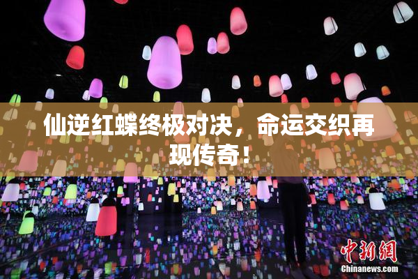 仙逆红蝶终极对决，命运交织再现传奇！