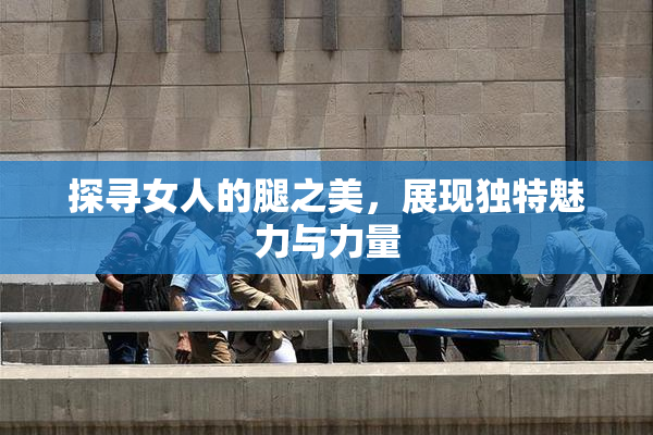 探寻女人的腿之美，展现独特魅力与力量