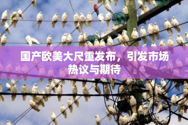国产欧美大尺重发布，引发市场热议与期待