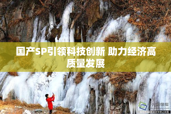 国产SP引领科技创新 助力经济高质量发展