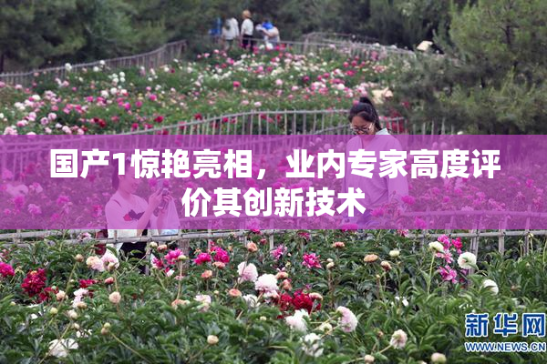 国产1惊艳亮相，业内专家高度评价其创新技术