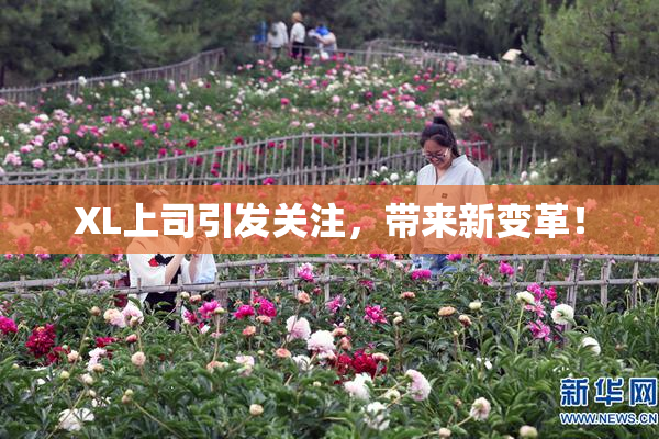 XL上司引发关注，带来新变革！