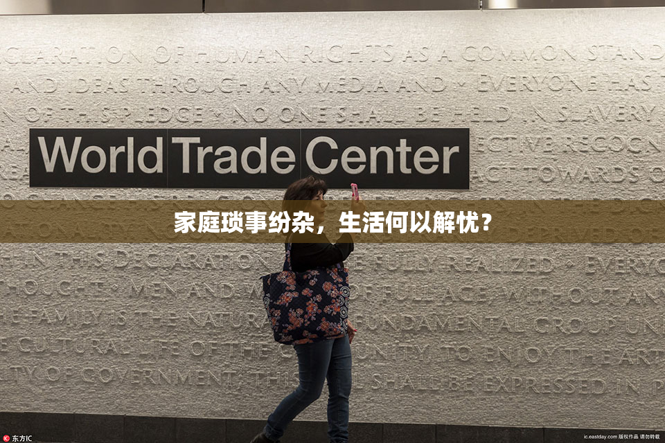 家庭琐事纷杂，生活何以解忧？